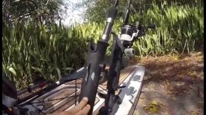 Surviving Solo in The Everglades | Kayak Adventures