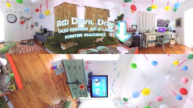 How to Name Your Male Cat (360 Video) смотреть онлайн