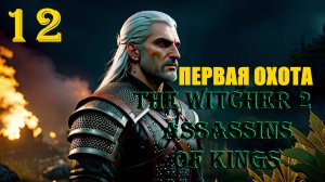 ВЕДЬМАК ВЫШЕЛ НА ОХОТУ - THE WITCHER 2 ASSASSINS OF KINGS - ПРОХОЖДЕНИЕ НА 100 ПРОЦЕНТОВ #12