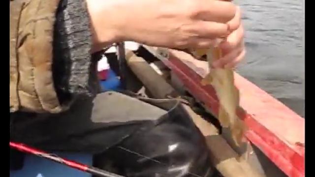 Судак на Ахтубе. Часть 5 смотреть онлайн