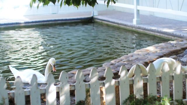 Илья и Юлия ~2018~ смотреть онлайн