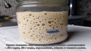 Как вырастить ржаную закваску для домашнего хлеба