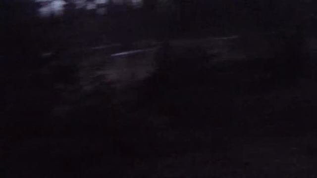 Вальдшнеп