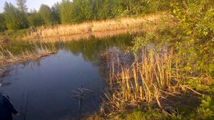 Рыбалка и красивые места реки "Утка" (Сережа на рыбалке) HD