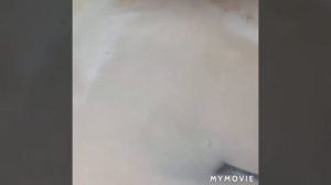 Гуляш в скороварке Мулинекс??