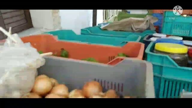 PANO PLATRES CYPRUS VLOGS BEST VILLAGE TRUCK VENDORS EVER! | JHOAN AMOGIZ смотреть онлайн