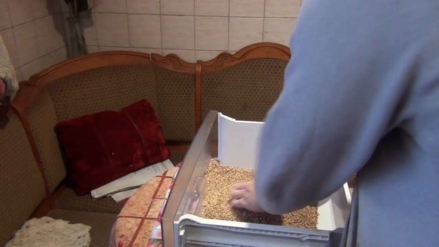 Вялено-копченый гусь!! Самое вкусное блюдо из гуся!! Простой и проверенный способ!! Вкусно очень!!
