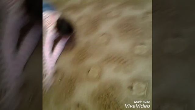 Дети бесится. смотреть онлайн