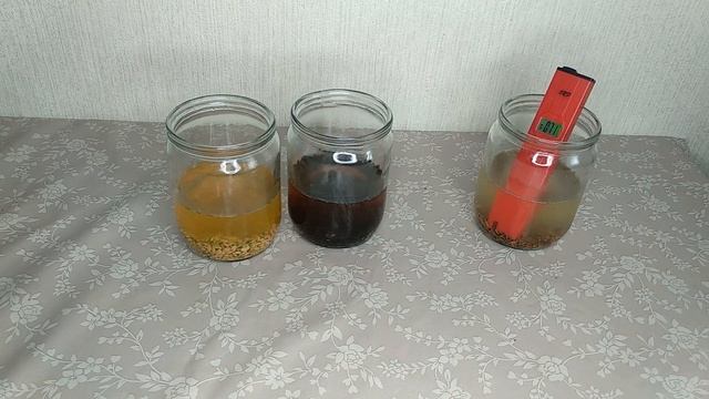 Измеряю ОВП воды, настоянной с пажитником, кунжутом, расторопшей