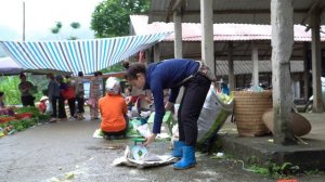 FULL VDEO: 60 days of harvesting lychees, melons & agricultural products to go to the market to sel