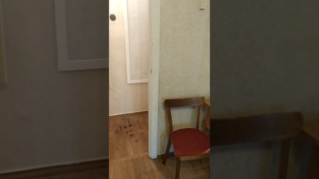 Сдам квартиру в Санкт Петербурге у метро Московская 10 пеш Юр.Гагарина 26 к2 за 22000 рублей смотреть онлайн