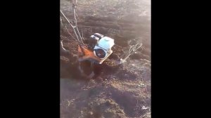 Культиватор PRORAB GT 65 BT(H)