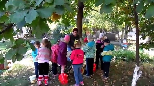 ТРУД - «Детский сад №17» города Бийска Алтайского края смотреть онлайн