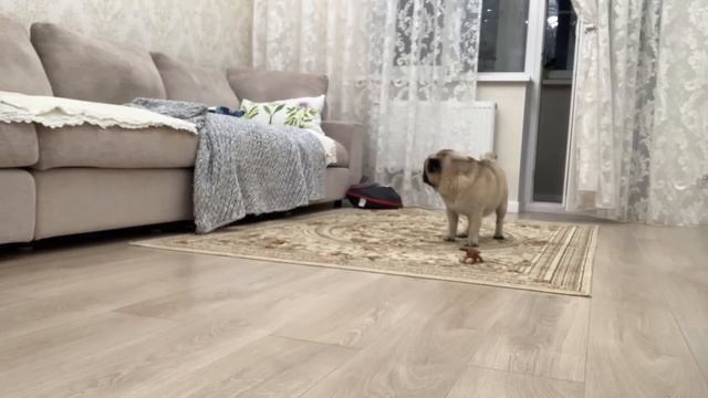 АСМР! ПЕРЕД СНОМ ВЛАЖНАЯ УБОРКА КВАРТИРЫ!