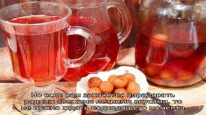 Компот из ягод облепихи на зиму