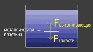 Физика 7 класс. §39 Давление в жидкости и газе