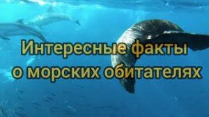 ТОП-10 СТРАННЫХ фактов о морских обитателей.mp4