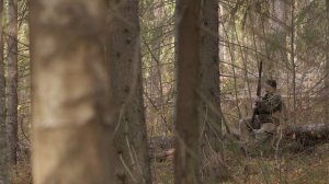 Охота в России. Охота на рябчика. Hunting in Russia Hazel Grouse - Järpjakt