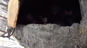 алеша-димитриевич-гоп-со-смыком —