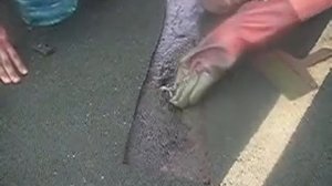 Локальный ремонт спортивного покрытия