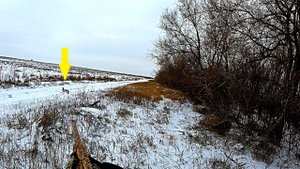 СКОЛЬКО ЗАЙЦЕВ В ЭТОЙ ПОСАДКЕ??? ЗАЙЦЫ ВСТАЮТ ИЗ ПОД НОГ!!! ЛУЧШАЯ ОХОТА НА ЗАЙЦА / MAX HUNTER