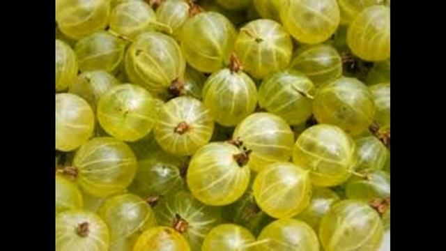 Как увеличить количество тромбоцитов Низкий