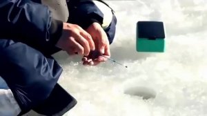 ТЕХНИКА ЛОВЛИ ОКУНЯ ЗИМОЙ НА МОРМЫШКУ!