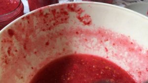 Лимонник китайский : путь к здоровью?