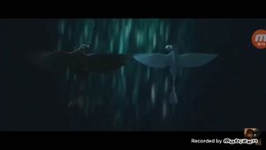 Дневная фурия и Беззубик " о боже, как ты красива "