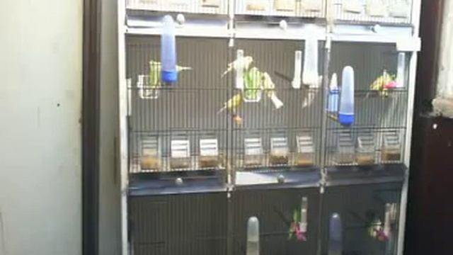 görüntüdeki netlik смотреть онлайн