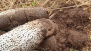 Прогулки с интроником 4: день гнутых монет (КОП с Интроник)