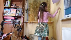 ОВЧАРКИ - НЯНЬКИ. Собаки обучают ребёнка играть в мяч