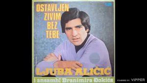 Ljuba Alicic - Hocu ljubav, necu prijateljstvo - (Audio 1981)