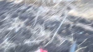 Шурф, будем шурфить домовую яму. Монеты будут!