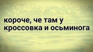 звездные сансы стали детьми на 24 часа