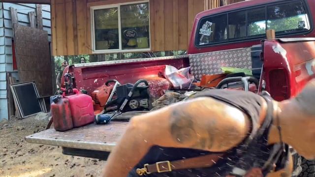 I’ve been challenged, New Husky 288xp vs my old 394xp смотреть онлайн