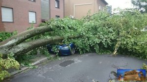 Schäden Unwetter Essen,Gelsenkirchen,Bochum 09.06.2014