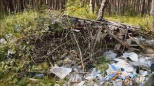 Загрязнение окружающей среды