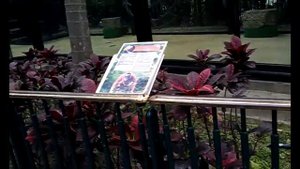 Гонконгский зоопарк, Hong Kong Zoological