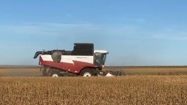 Сельскохозяйственное предприятия «Приоритет Агро». Началась уборка сои! 12 Сентября 2020 года. смотреть онлайн