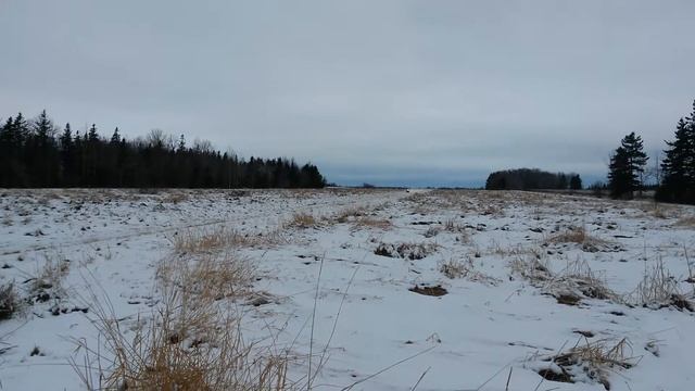 800 triple skidoo speed test смотреть онлайн