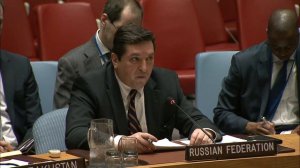 Зампостпред России при ООН В.К.Сафронков в СБ ООН по ситуации в Сирии, 12 апреля 2017 г.