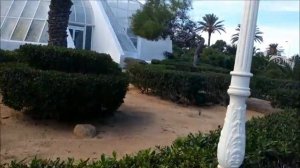 Самый полный обзор отеля Al Jazira Beach & Spa 3 остров Джерба Тунис