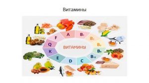 Тема 21. Компоненты пищи и их функции