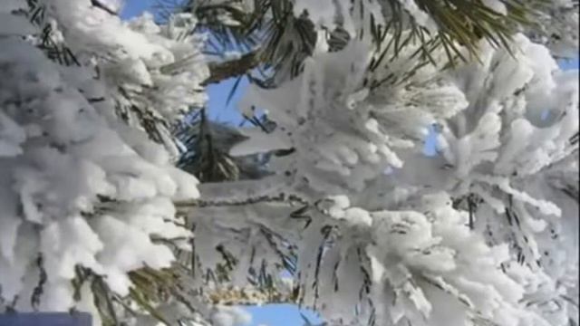 ТОЛЬКО РАЗ, муз. Б.Фомина, сл. П. Герман,поет А.Виноградов смотреть онлайн