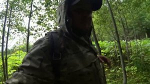 БРОЖУ ПО ТАЙГЕ НА МОТОВЕЗДЕХОДЕ! ЧТО МОЖНО СОБРАТЬ В ИЮЛЕ?! ЗАЕХАЛ К ЛЁХЕ В ГОСТИ, КАК ВЫРОС АМУР?!