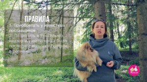 Почему собакам нельзя свинину? Мнение зоодиетолога.