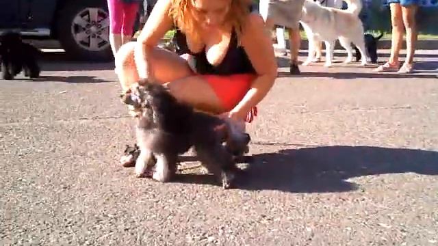 Фея на выставке в Казани 07.08.2011 смотреть онлайн