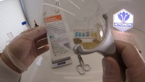 Салат Кучерявец Грибовский. Поиск