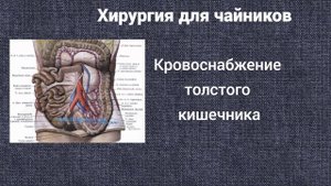 Хирургия для чайников. Кровоснабжение толстого кишечника.